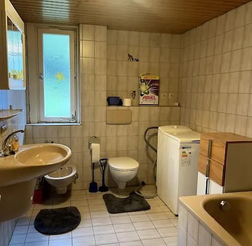 Daire Avec Vue Panoramique Hornberg